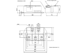 Schema del ponte