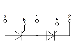 Doppio Circuito del modulo a tiristori